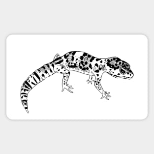 Gecko Magnet